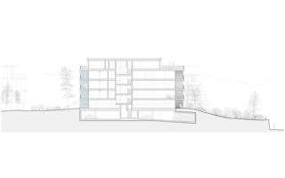 Longitudinal section